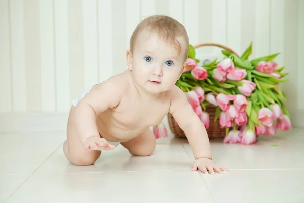 Tatlı erkek bebek. — Stok fotoğraf