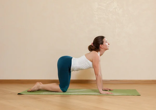 Femme caucasienne pratique le yoga en studio (bidalasana ) — Photo