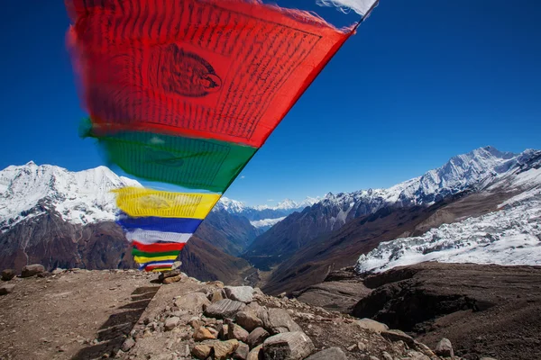 Buddhistiska böneflaggor — Stockfoto