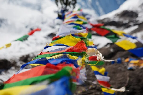 Buddhistiska böneflaggor — Stockfoto