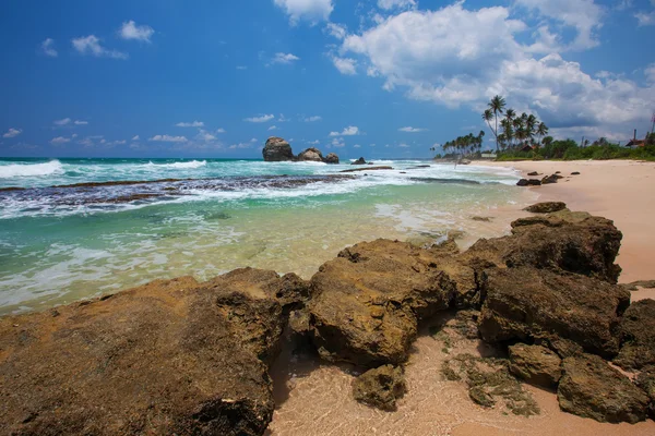 Costa tropical en Sri Lanka — Foto de Stock