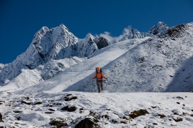 Uzun yürüyüşe çıkan kimse tren Himalayalar yürür