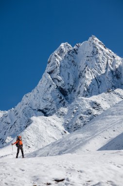 Uzun yürüyüşe çıkan kimse tren Himalayalar yürür