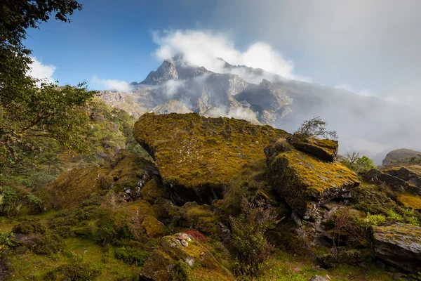 Pemandangan indah pegunungan Himalaya — Stok Foto