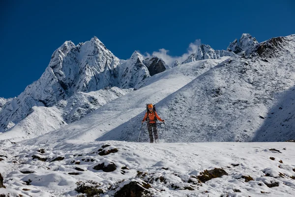 Wanderer wandert im Himalaya auf Zug — Stockfoto