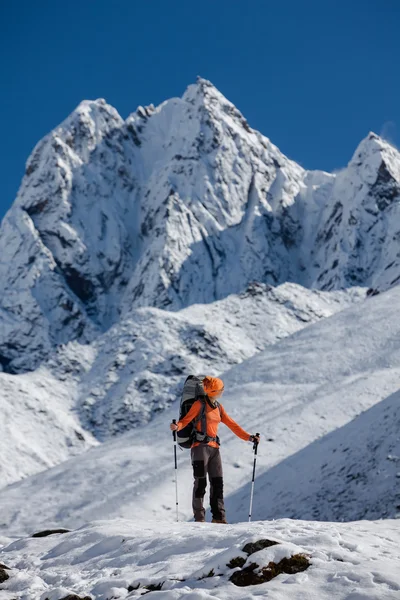 Wanderer wandert im Himalaya auf Zug — Stockfoto