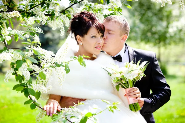 Bride and groom — Stock Photo, Image