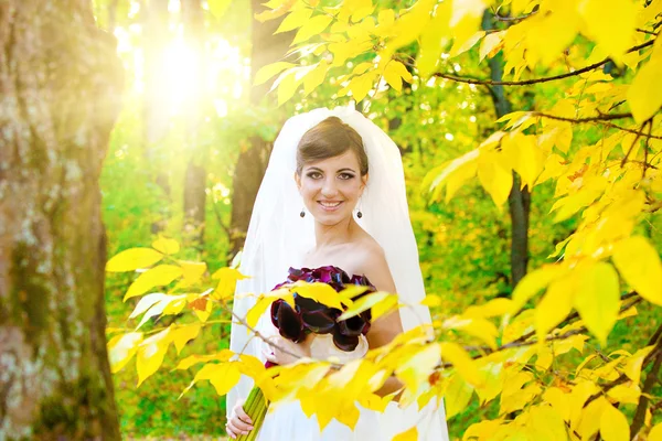 Bela noiva no dia do casamento do herdeiro — Fotografia de Stock