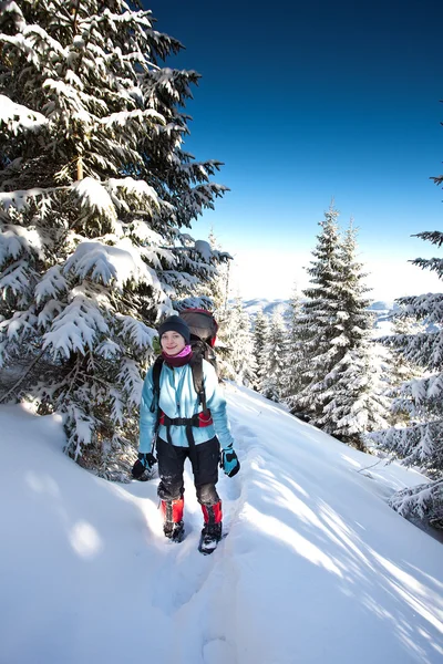 Excursionista en las montañas de invierno — Foto de Stock