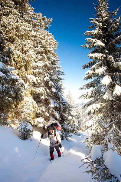 Excursionista en las montañas de invierno — Foto de Stock