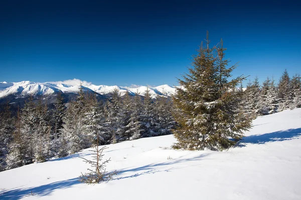 Montañas de invierno — Foto de Stock