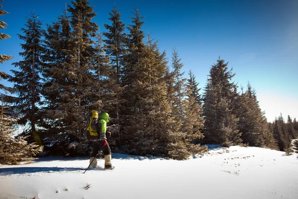 Excursionista en las montañas de invierno — Foto de Stock