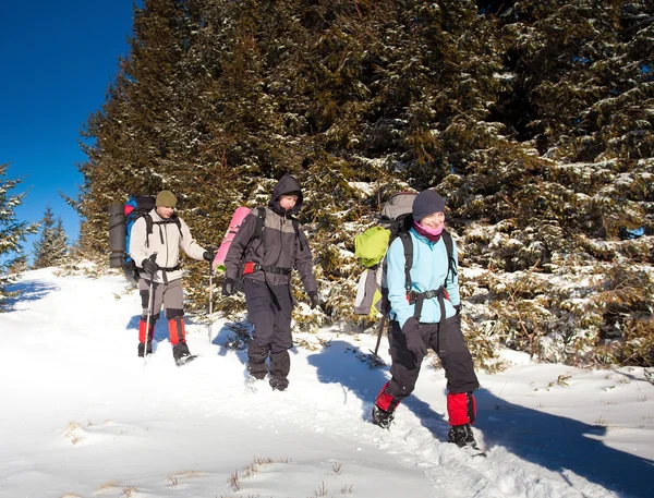 Excursionista en las montañas de invierno — Foto de Stock