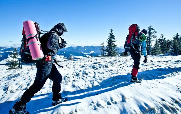 Caminhante em montanhas de inverno — Fotografia de Stock