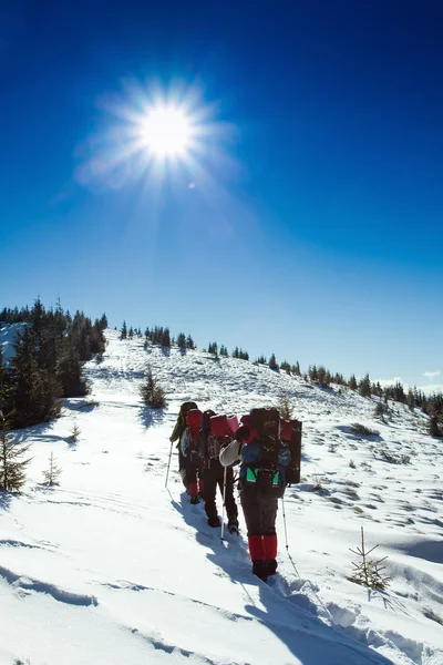 Caminhante em montanhas de inverno — Fotografia de Stock