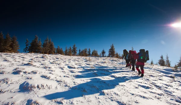 Excursionista en las montañas de invierno — Foto de Stock