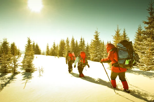 Wanderer in den Winterbergen — Stockfoto