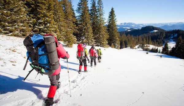 Randonneur dans les montagnes d'hiver — Photo