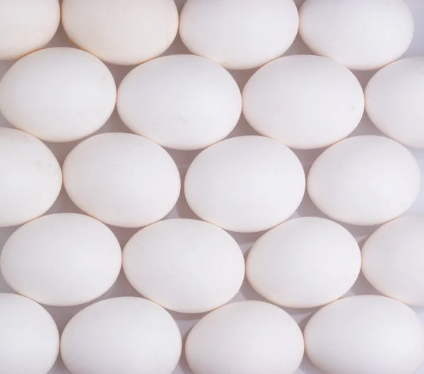 Huevos fondo —  Fotos de Stock