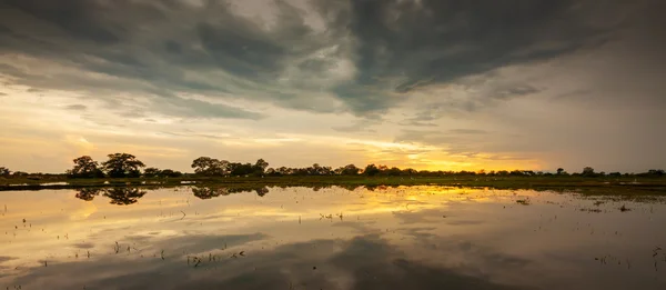 Coucher de soleil spectaculaire sur le lac au Sri Lanka — Photo