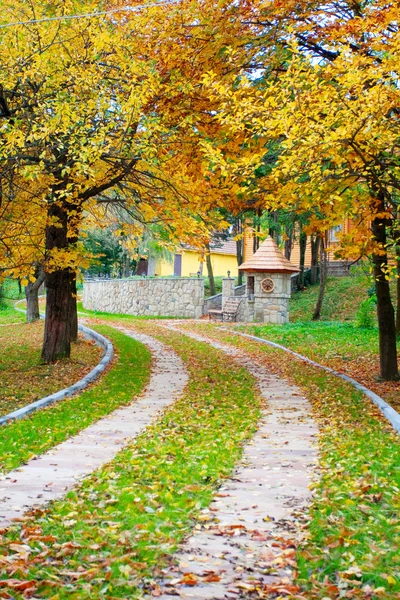 Autumn forest — Stock Photo, Image