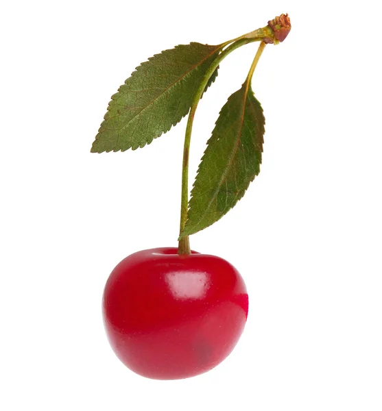 Cereza roja — Foto de Stock