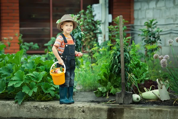 Retrato de um menino trabalhando no jardim de férias — Fotografia de Stock