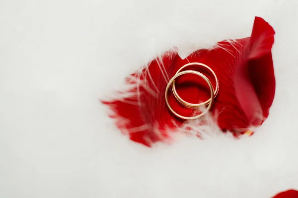 Anéis de casamento com pétalas de flores — Fotografia de Stock