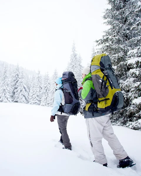 冬季的森林里徒步旅行者 — 图库照片