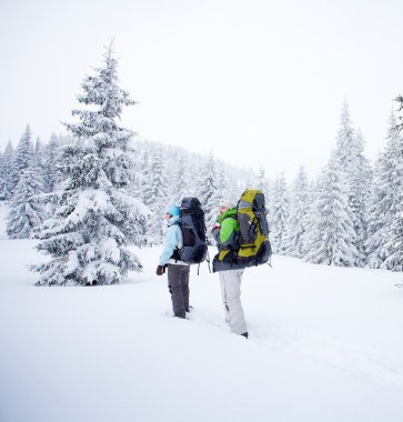 Uzun yürüyüşe çıkan kimse kış orman