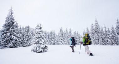 Uzun yürüyüşe çıkan kimse kış orman