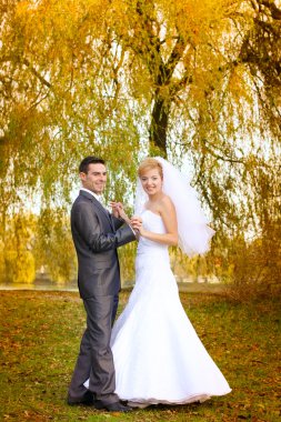 gelin damat