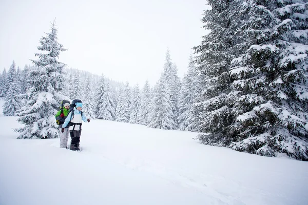 冬季的森林里徒步旅行者 — 图库照片