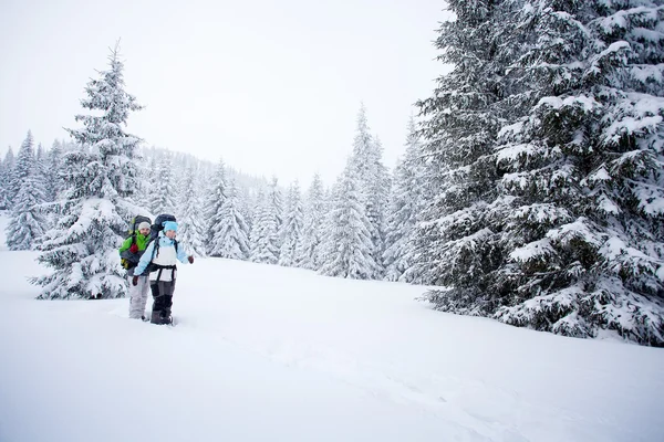 Wanderer im Winterwald — Stockfoto