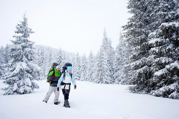 Vandrare i skogen vinter — Stockfoto