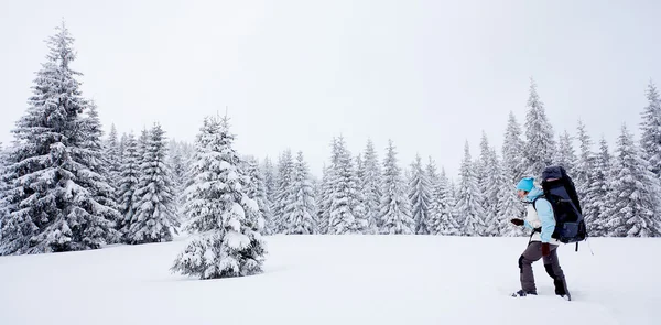 Senderista en el bosque de invierno —  Fotos de Stock