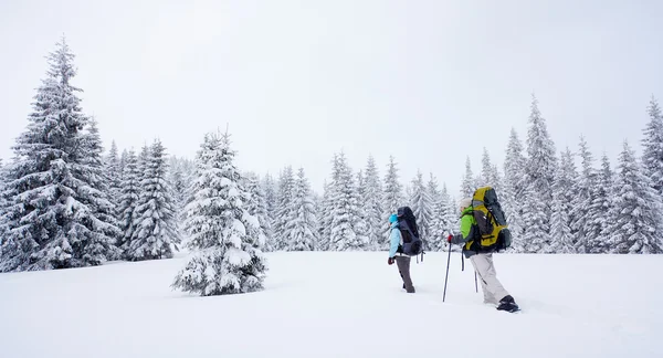 Wanderer im Winterwald — Stockfoto