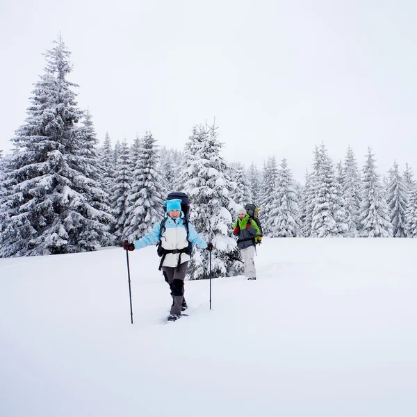 Wanderer im Winterwald — Stockfoto