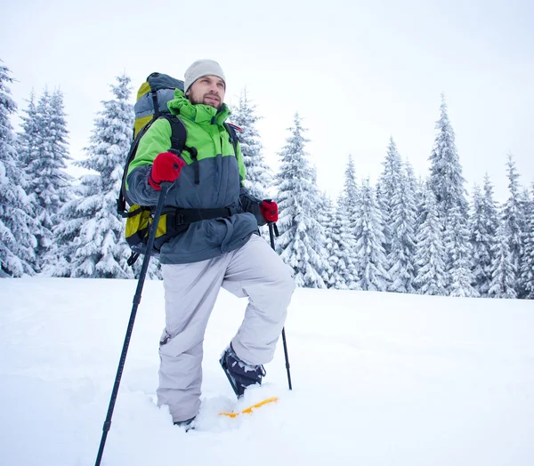 Turysta spacery w lesie, śnieg — Zdjęcie stockowe