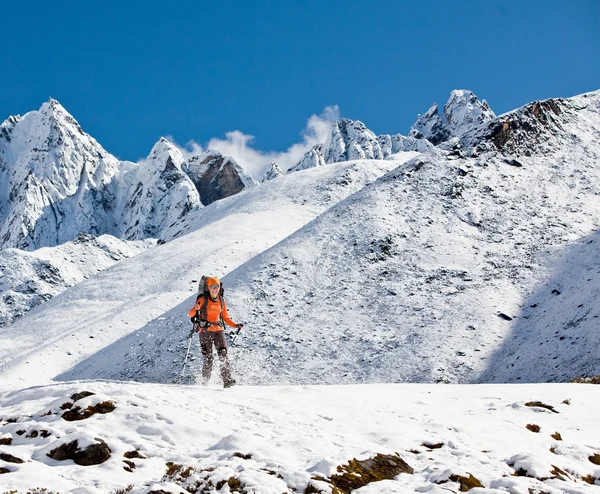 Himalaya dağlarında yürüyüş