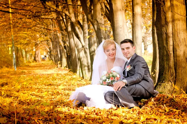 Bride and groom — Stock Photo, Image