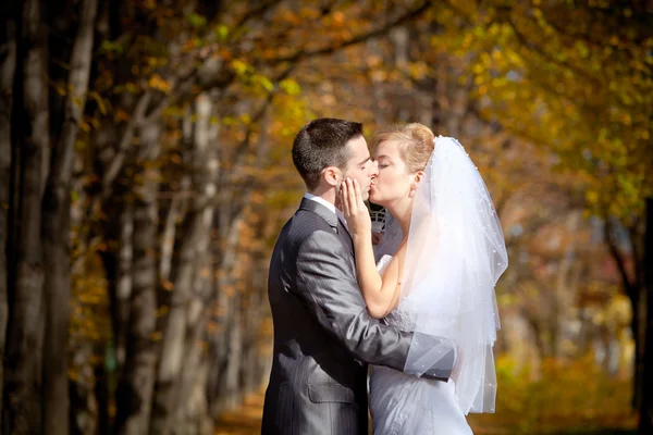 Novia y novio —  Fotos de Stock