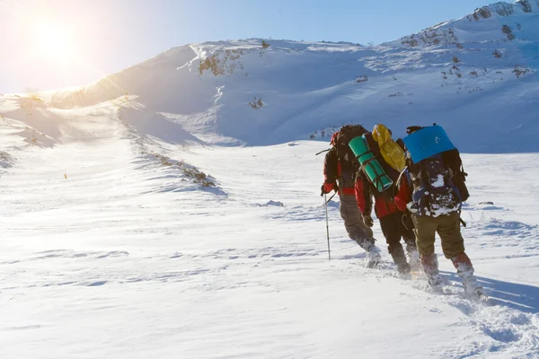 Caminhante estão em montanhas de inverno — Fotografia de Stock