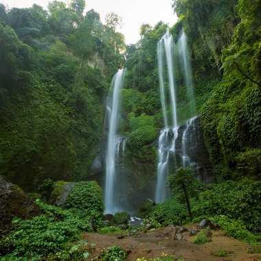 Sekumpul şelaleler Bali, Endonezya