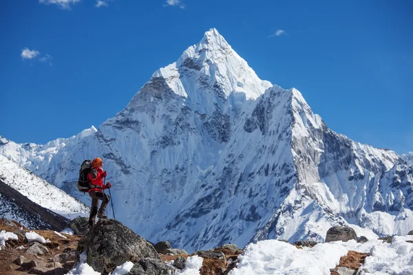 跋涉在喜马拉雅山，昆布谷，尼泊尔的徒步旅行者 — 图库照片