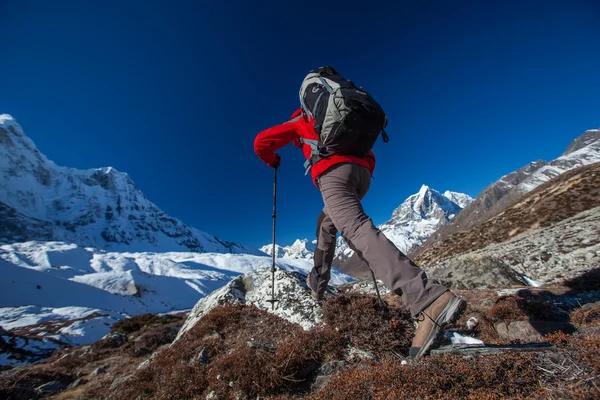 Hiker on the trek in Himalayas, Khumbu valley, Nepal — Stock Photo, Image