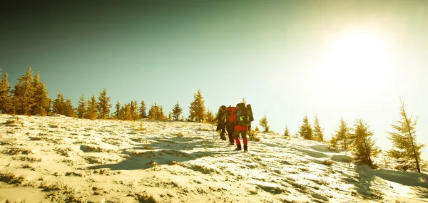 Caminhante em montanhas de inverno — Fotografia de Stock