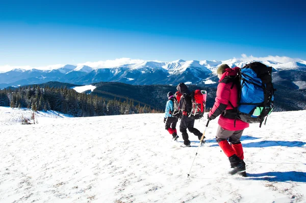 Wanderer in den Winterbergen — Stockfoto