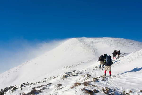 Los excursionistas están en invierno en las montañas — Foto de Stock