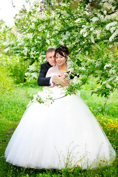 Sposa e sposo — Foto Stock